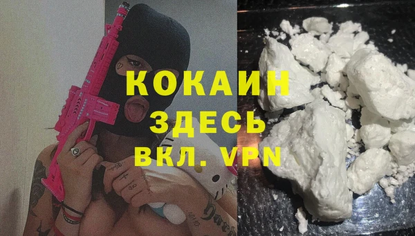 ПСИЛОЦИБИНОВЫЕ ГРИБЫ Белокуриха