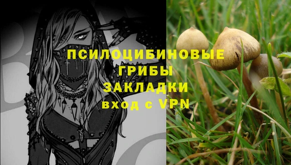кокс Беломорск