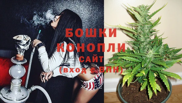 ПСИЛОЦИБИНОВЫЕ ГРИБЫ Белокуриха